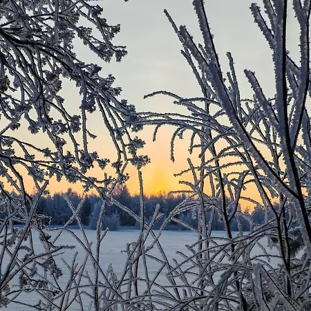 Magic Arctic Christmas With Sauna Oulu
