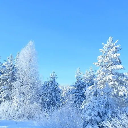 Villa Magic Arctic Christmas With Sauna *