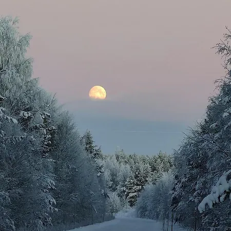 Magic Arctic Christmas With Sauna Villa *