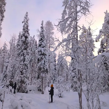 Villa Magic Arctic Christmas With Sauna