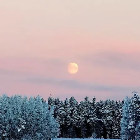 Magic Arctic Christmas With Sauna
