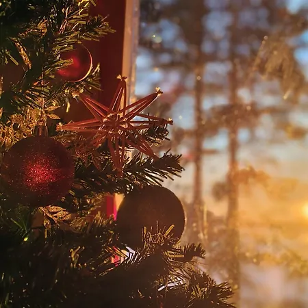 Magic Arctic Christmas With Sauna Villa