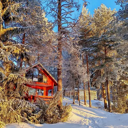 Magic Arctic Christmas With Sauna Villa Oulu