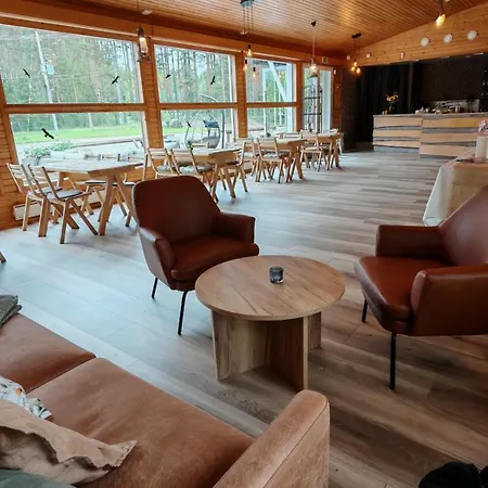 Magic Arctic Christmas With Sauna Villa