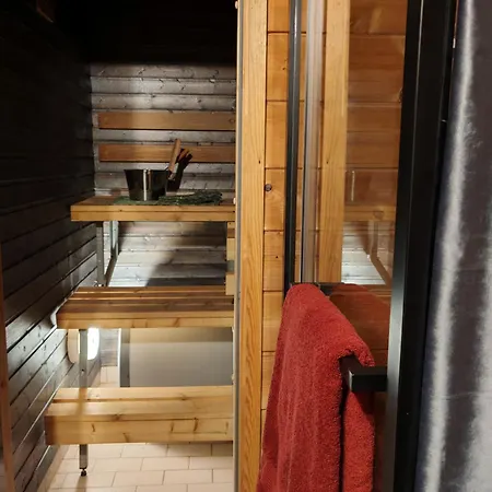 Magic Arctic Christmas With Sauna Villa